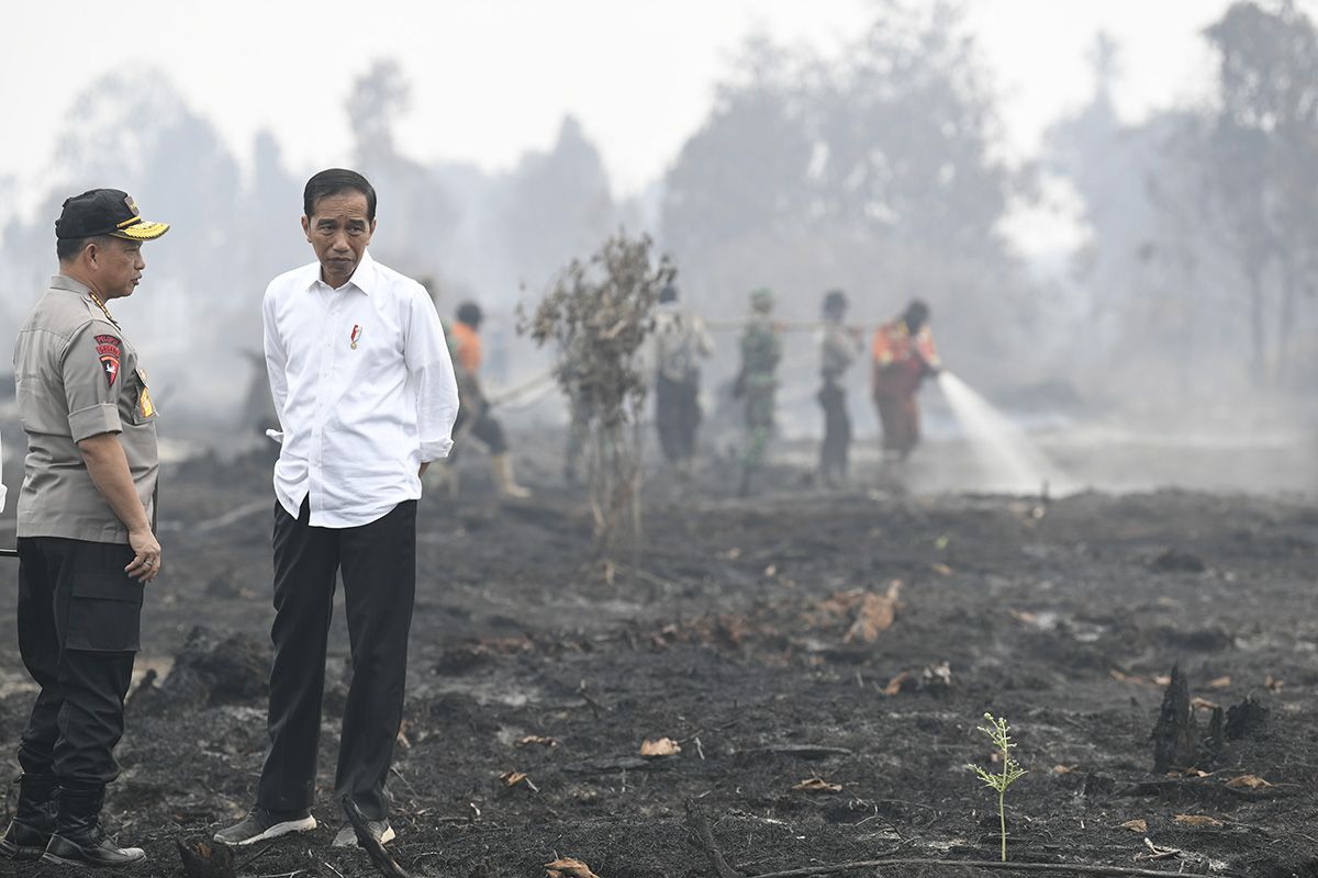 Presiden Joko Widodo (kanan) didampingi Kapolri Jenderal Pol Tito Karnavian meninjau penanganan kebakaran lahan di Desa Merbau, Kecamatan Bunut, Pelalawan, Riau, Selasa (17/9/2019). ANTARA FOTO/Puspa Perwitasari/aww.