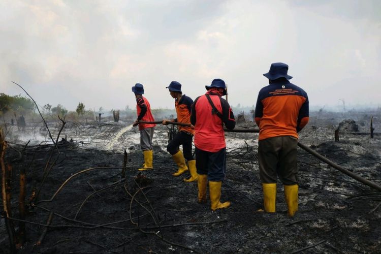 Hampir sepekan terakahir, kebakaran lahan melanda 5 desa di Kabupaten Sambas, Kalimantan Barat (Kalbar). Kelima desa yang mengalami kebakaran lahan yaitu Desa Sungai Baru dan Desa Berlimangdi Kecamatan Teluk Keramat; serta Desa Pelimpaan, Desa Lambau, Desa Sarang Burung Usrat, Desa Sarang Burung Danau, Desa Sarang Burung Kolam, di Kecamatan Jawai.