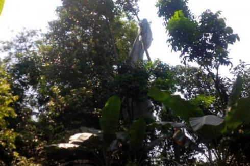 Tertiup Angin Kencang, Dua Penerjun TNI AD Tersangkut di Pohon