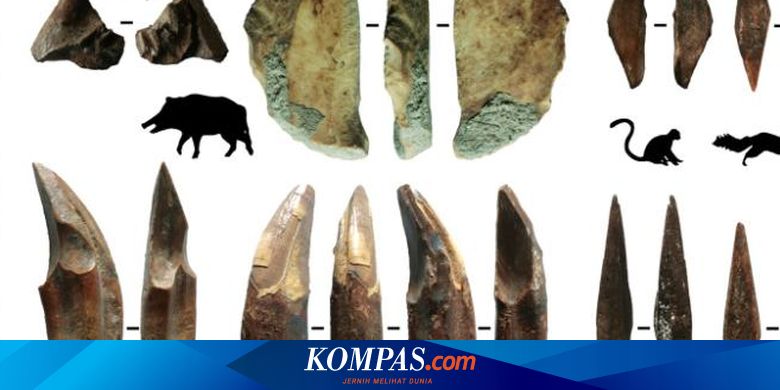 Busur dan Anak Panah Tertua Ditemukan di Sri Lanka, Begini Wujudnya