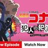 Sinopsis Detective Conan: The Culprit Hanzawa