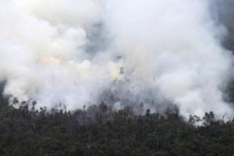 Asap tebal dari kebakaran hutan di Kabupaten Pelalawan, Provinsi Riau, 21 Juni 2013. Presiden Susilo Bambang Yudhoyono, atas nama Pemerintah Indonesia, meminta maaf kepada negara-negara yang terkena imbas atas asap Riau.