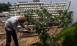 Wakil Walkot Jaktim Sebut Upaya Kementan Bangun Urban Farming Adalah Tepat