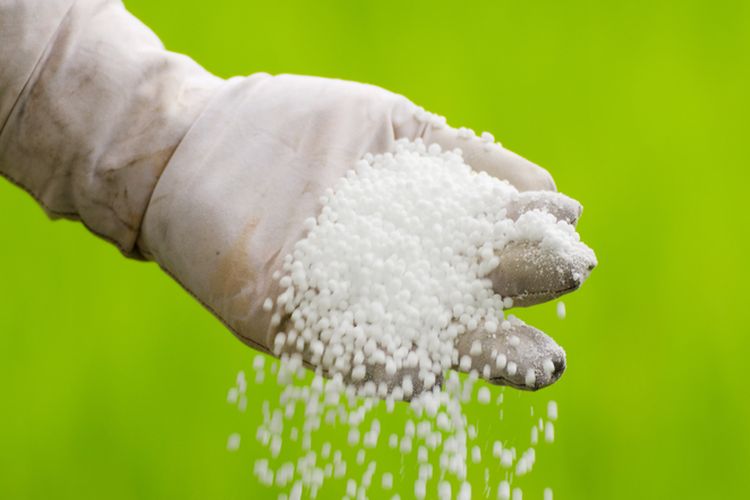 Ilustrasi pupuk urea untuk tanaman.