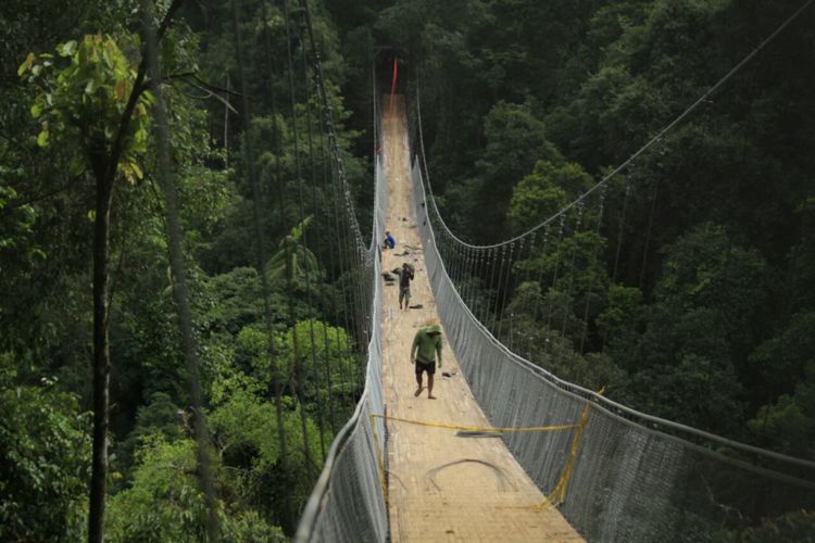 Sejumlah pekerja sedang mengerjakan jembatan gantung di Taman Nasional Gunung Gede Pangrango (TNGGP) Resort Situgunung, Sukabumi, Jawa Barat.. Foto diambil Desember 2017