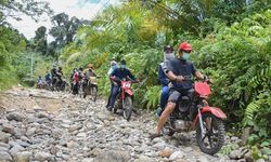 Begini Fakta Warga Sakit yang Ditandu di Dusun Pulao Luwu Utara