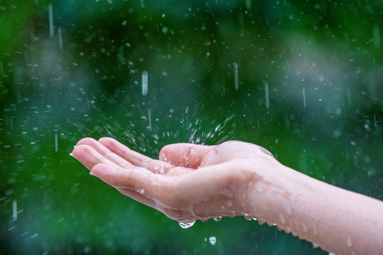 Suara hujan dipercaya bisa menenangkan pikiran dan meredakan stres. Benarkah demikian? Simak penjelasan ahli soal manfaat suara hujan bagi mental.