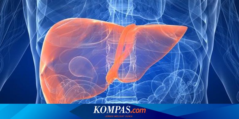Nyeri Perut Atas Menandakan Gangguan Pada Liver Begini Mencegahnya Halaman All Kompas Com