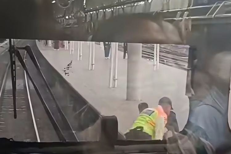 Viral Pria Lompat ke Rel Stasiun Tanah Abang, Nyaris Tertabrak KRL