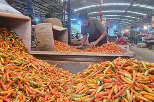 Harga Cabai Kompak Naik, Rawit Merah Tembus Rp 90.050 Per Kg