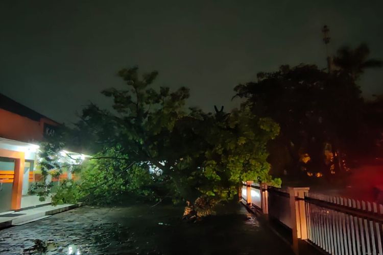 Pohon setinggi 15 meter tumbang di area Kantor Pos Depok di jalan Rambutan, Pancoran Mas, Senin (14/3/2022) sore tadi.