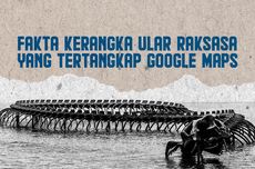 INFOGRAFIK: Kerangka Ular Raksasa Terlihat di Google Maps, Bagaimana Faktanya?