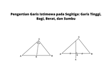 Pengertian Garis Istimewa pada Segitiga: Garis Tinggi, Bagi, Berat, dan Sumbu