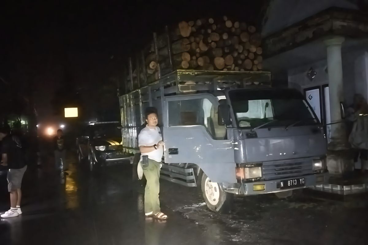 Truk angkut kayu hasil penebangan liar di kawasan Perhutani Lumajang, Kamis (28/8/2025).