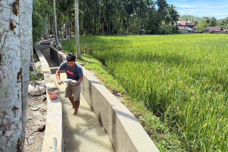 Perbaikan Irigasi Krueng Baru Dipercepat, 340 Hektar Sawah Ditargetkan Kembali Produktif