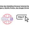 Pengertian dan Kelebihan Browser Internet Explorer, Opera, Mozilla Firefox, dan Google Chrome