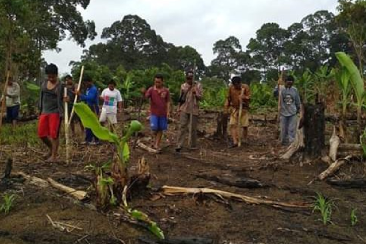 Manugal, kearifan lokal dari Kalimatan Tengah