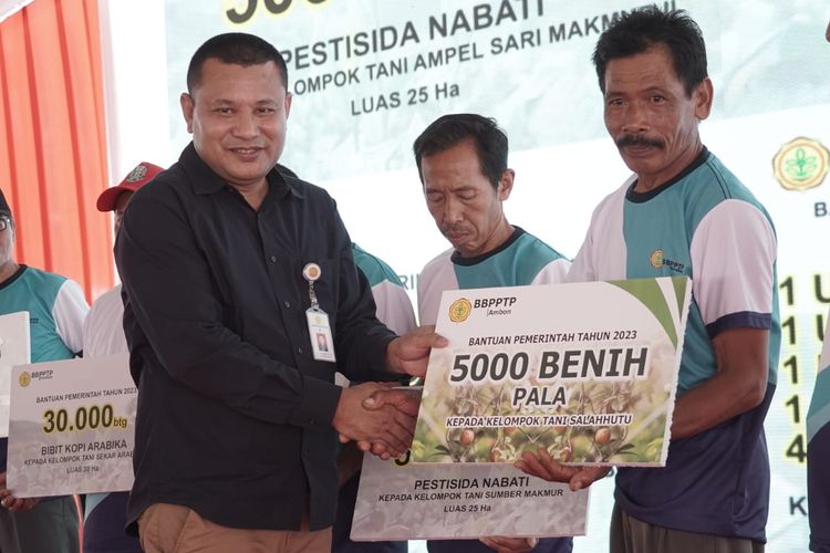 Kementan serahkan bantuan benih pala kepada KT di Jatim