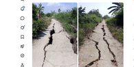 Retakan Tanah dengan Pola Mirip Akar Besar Usai Gempa Flores, Ini Penjelasan BMKG dan Badan Geologi