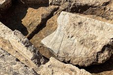 Relief Berusia 2.600 Tahun Ditemukan di Kota Kuno Nineveh, Apa Isinya?