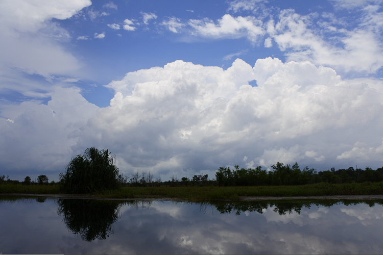 Kegiatan menyusuri sungai Upang di Desa Tanah Bawah, Kecamatan Puding Besar, Kabupaten Bangka, Jumat (6/3/2020).