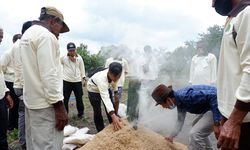 Jaga Ketahanan Pangan, BRG Gelar Pelatihan Pertanian Lahan Gambut di Merauke