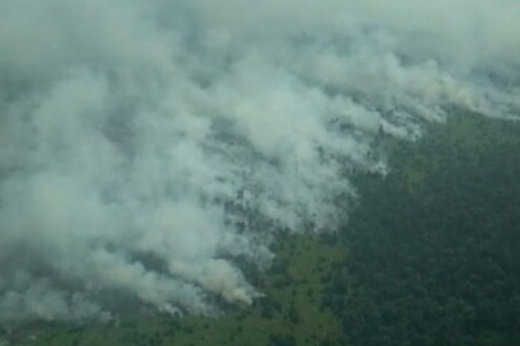 Kebakaran hutan dan lahan yang terjadi di Kabupaten Indragiri Hulu pada 2019 lalu.