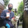 21.052 Ekor Anjing di Buleleng Divaksinasi untuk Cegah Rabies