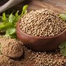 4 Bahan Pengganti Biji Ketumbar dalam Masakan