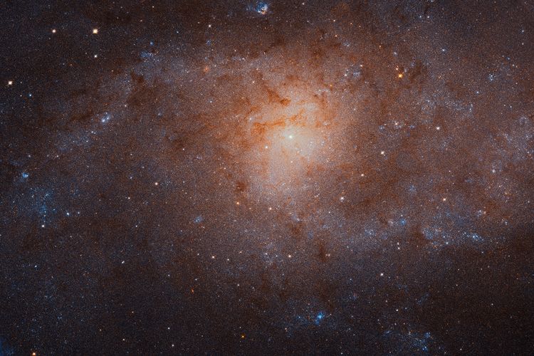 La Galaxia del Triángulo es la segunda galaxia más cercana a la Tierra