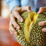 Trik Mudah Membuka Durian Pakai Pisau, Begini Caranya!