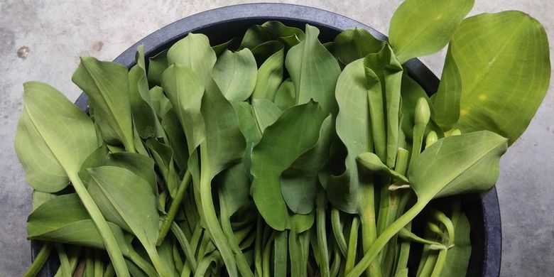 4 Cara Simpan Sayur Genjer agar Bisa Tahan hingga Berbulan-bulan - Vimarsana News