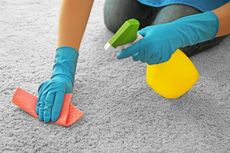 Cara Menghilangkan Bau Pesing dari Karpet