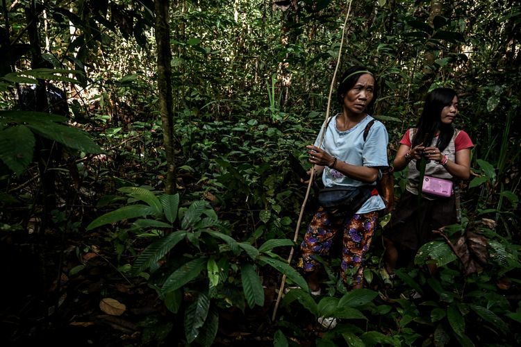 Ngakukop (kiri) dan anaknya Siti berjalan di hutan saat berburu.