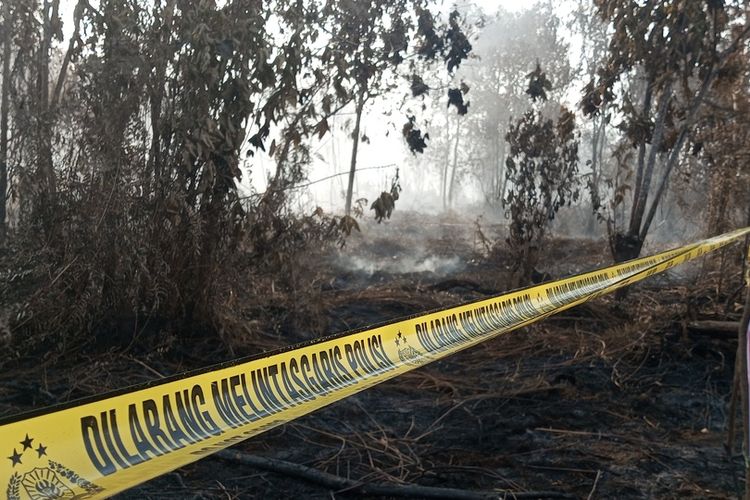 Anggota DPRD Kampar Jadi Tersangka Perambahan 60 Hektare Hutan, Belum Ditahan karena Sakit
