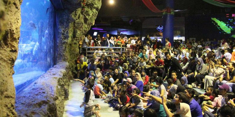 Pengunjung saat menyaksikan pertunjukan underwater feedingshow di akuarium utama Sea World, kawasan wisata Taman Impian Jaya Ancol, Jakarta, Sabtu (23/12/2017). Acara tersebut diselenggarakan pada 23-27 Desember 2017 untuk menyambut musim libur natal dan perayaan pergantian tahun.