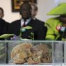 Oposisi Namibia Kritisi Permintaan Maaf Genosida dari Jerman