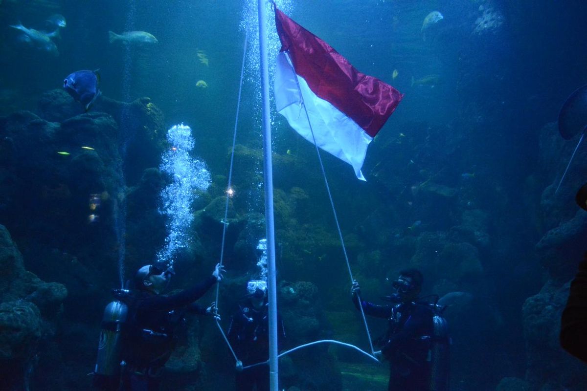 Pengibaran bendera di akuarium besar Sea World oleh penyelam dalam memperingati hari ulang tahun ke-75 Republik Indonesia 