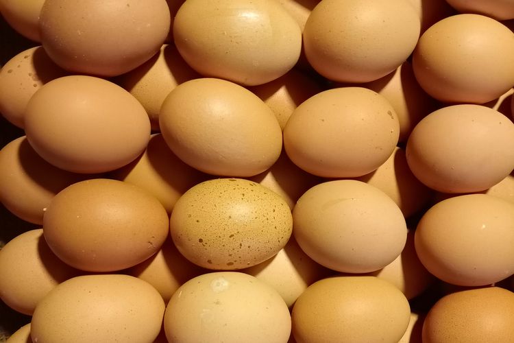 Ilustrasi ribuan telur yang dibutuhkan untuk membuat omelet saat perayaan Paskah di Perancis