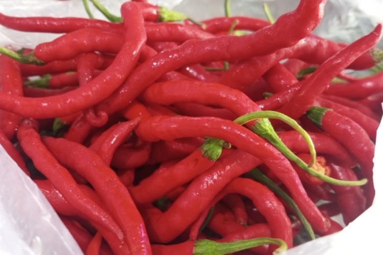 Harga Cabai Merah Picu Inflasi di Riau, Pemerintah Atasi Operasi Pasar