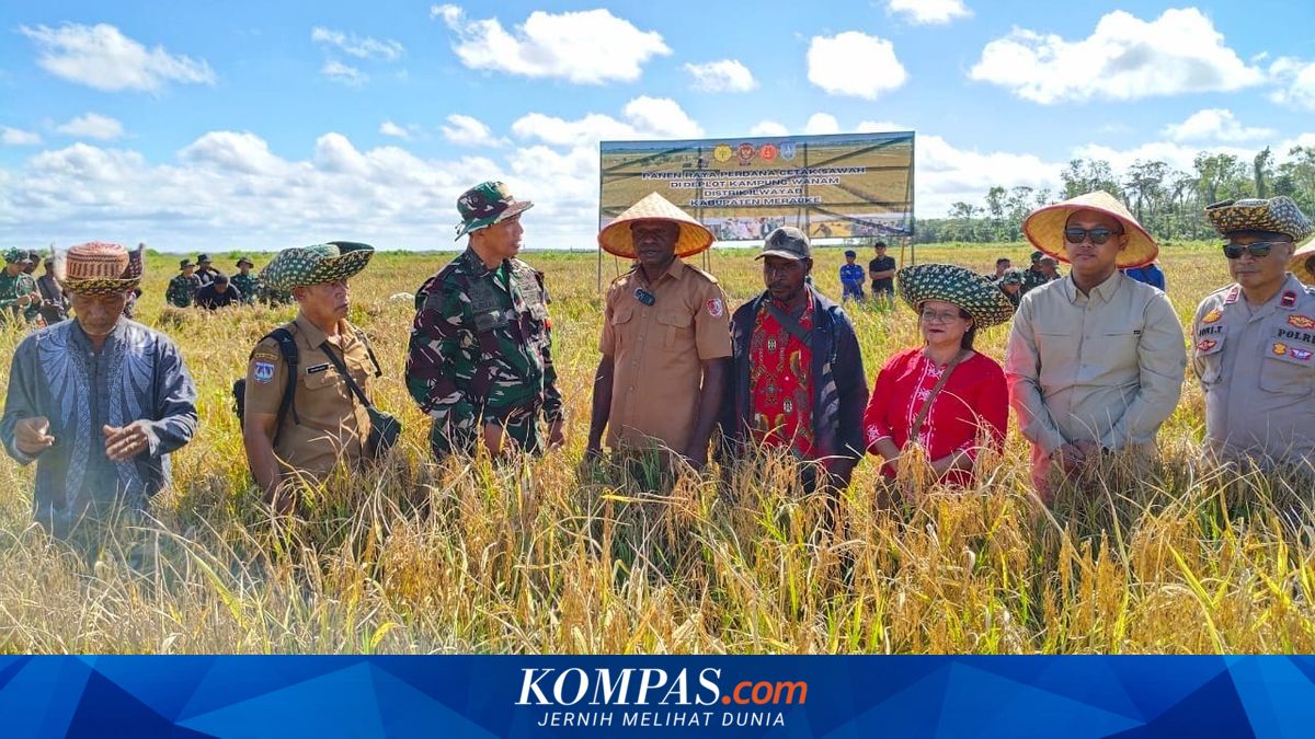 Petani Merauke Minta Amran Tambah Cetak Sawah 2.000 Hektare