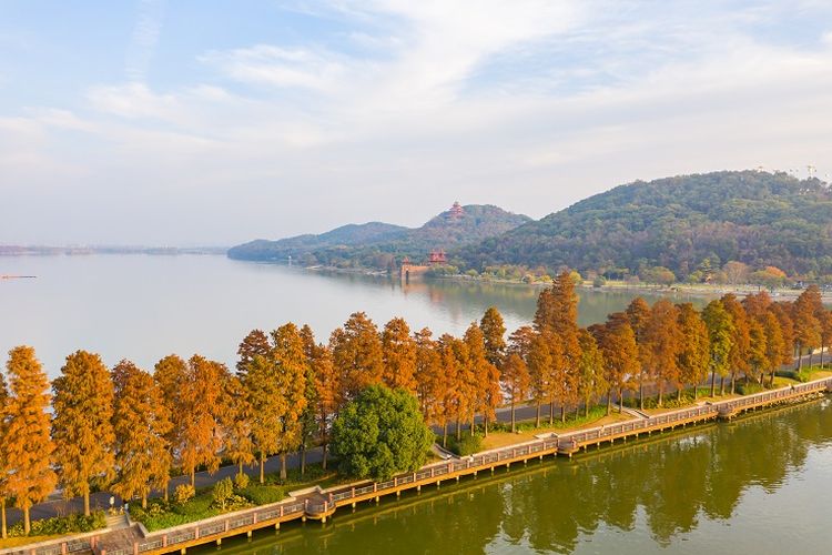 Ilustrasi Wuhan - Area East Lake yang merupakan salah satu destinasi wisata di Wuhan, China.