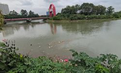 KLH Belum Ungkap Pemeriksaan Air Sungai Cisadane Tercemar Pestisida