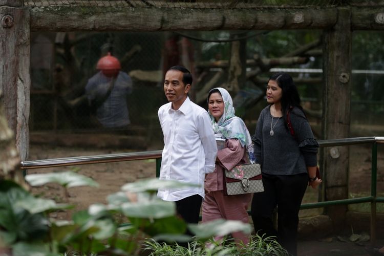 Presiden Republik Indonesia, Joko Widodo beserta istri serta dua anaknya berlibur ke Kebun Binatang Ragunan, Jakarta, Kamis (29/6/2017). Dalam liburannya ini Joko Widodo dan keluarga terlihat menyambangi Pusat Primata Schmutzer.