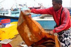 Pabrik Es Balok di Pelelangan Tutup, Puluhan Ton Ikan Nelayan Terancam Busuk