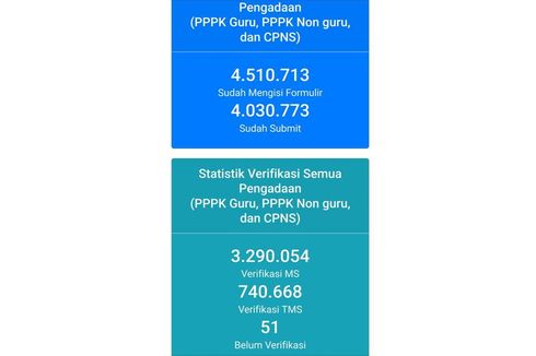 740.668 Pelamar Tak Lolos Seleksi Administrasi CPNS-CPPPK