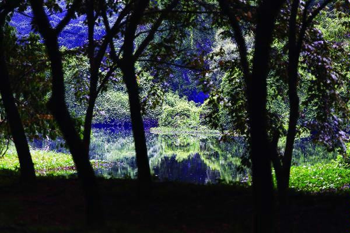 Hutan Kota di Bandar Baru Kemayoran, Jakarta Pusat.