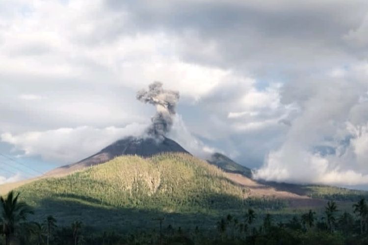 Gunung Lewotobi Meletus Lagi, Lontarkan Abu Vulkanik Setinggi 600 Meter