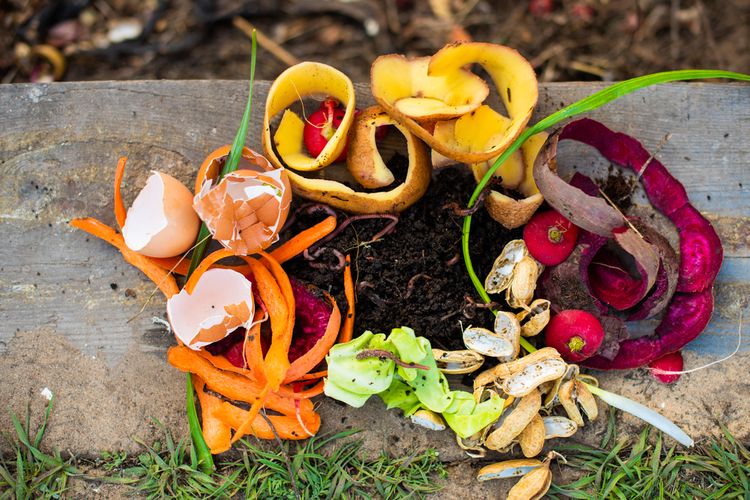 Membuat kompos atau pupuk organik bisa menggunakan sampah makanan di dapur.
