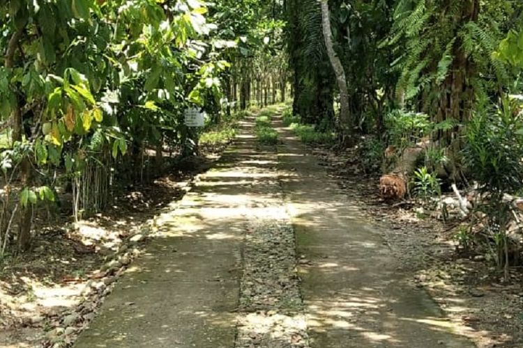 Desa Kota Bani telah membangun jalan rabat beton sepanjang 1 kilometer untuk mempermudah warga desa terutama petani kelapa sawit mengangkut hasil panennya.